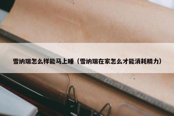雪纳瑞怎么样能马上睡(雪纳瑞在家怎么才能消耗精力)