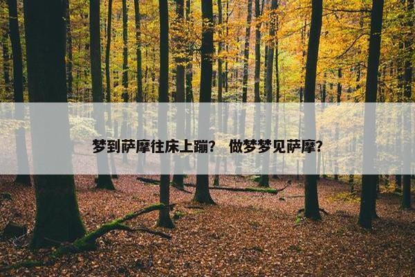 梦到萨摩往床上蹦？ 做梦梦见萨摩？