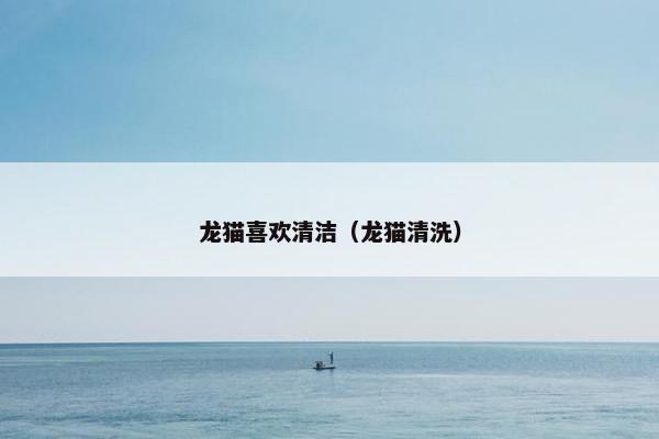 龙猫喜欢清洁（龙猫清洗）