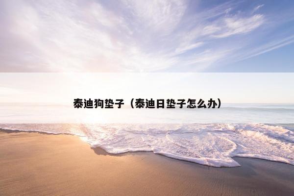 泰迪狗垫子（泰迪日垫子怎么办）