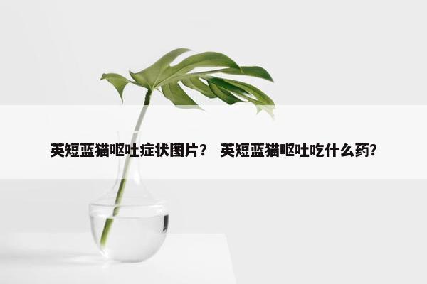 英短蓝猫呕吐症状图片？ 英短蓝猫呕吐吃什么药？