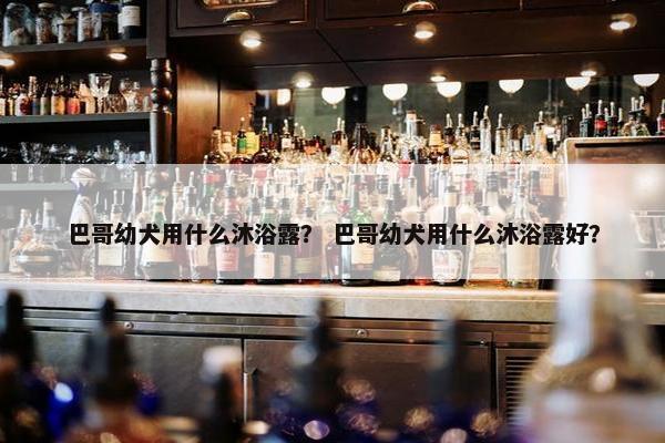 巴哥幼犬用什么沐浴露？ 巴哥幼犬用什么沐浴露好？