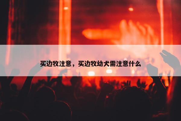 买边牧注意，买边牧幼犬需注意什么