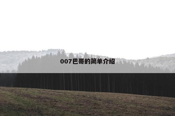 官方