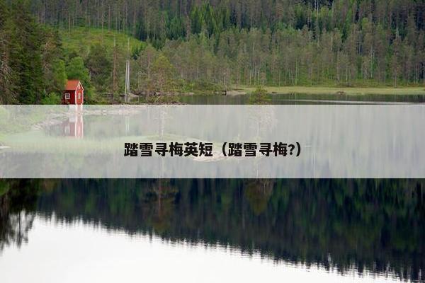 踏雪寻梅英短（踏雪寻梅?）