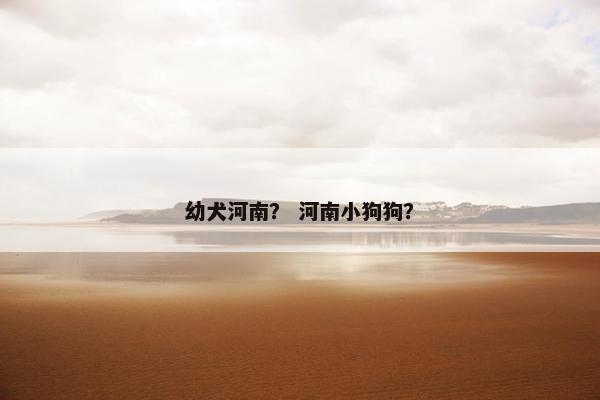 狐狸