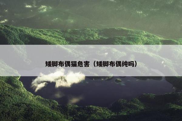 矮脚布偶猫危害（矮脚布偶纯吗）