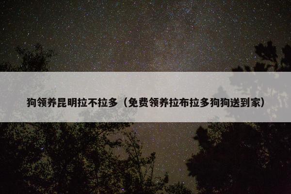 狗领养昆明拉不拉多（免费领养拉布拉多狗狗送到家）