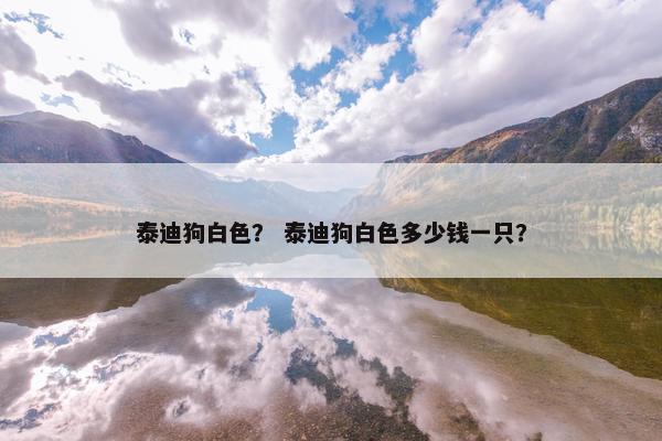 泰迪狗白色？ 泰迪狗白色多少钱一只？