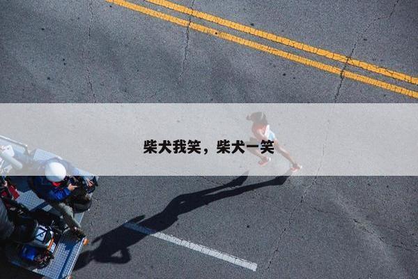 柴犬我笑，柴犬一笑