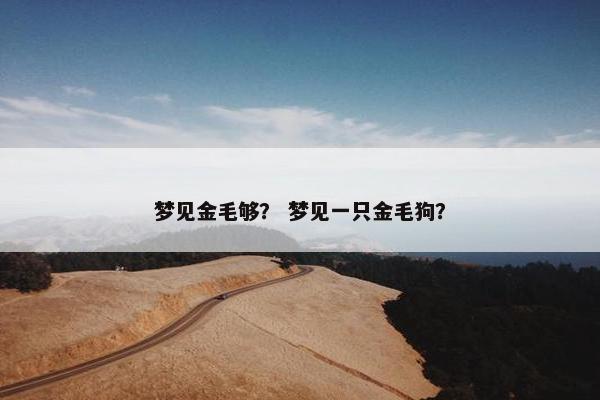 梦见金毛够？ 梦见一只金毛狗？