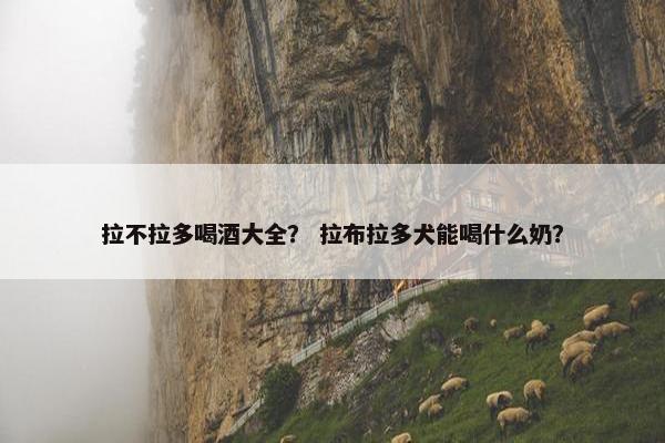 拉不拉多喝酒大全？ 拉布拉多犬能喝什么奶？