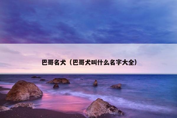 巴哥名犬（巴哥犬叫什么名字大全）