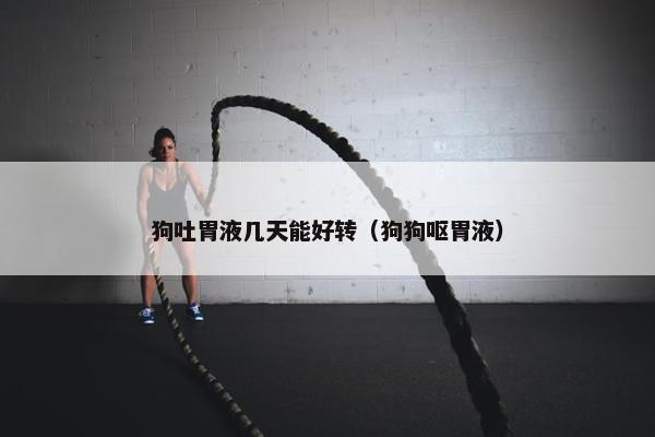 狗吐胃液几天能好转(狗狗呕胃液)