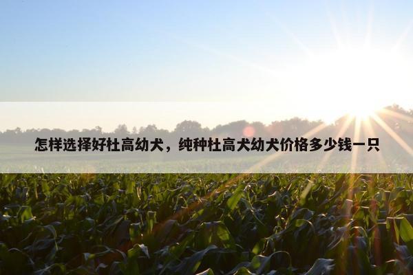 活泼
