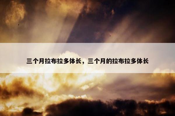 三个月拉布拉多体长，三个月的拉布拉多体长