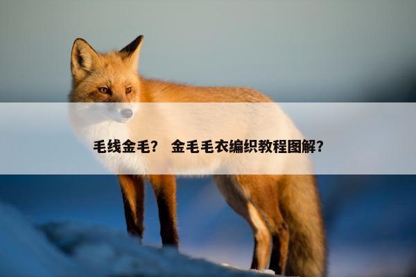 毛线金毛？ 金毛毛衣编织教程图解？