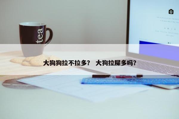 大狗狗拉不拉多？ 大狗拉屎多吗？