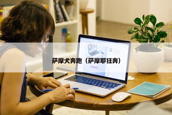 萨摩犬奔跑（萨摩耶狂奔）