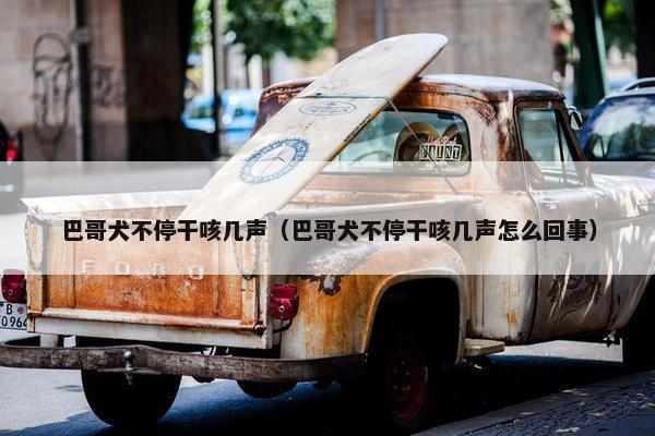 巴哥犬不停干咳几声（巴哥犬不停干咳几声怎么回事）