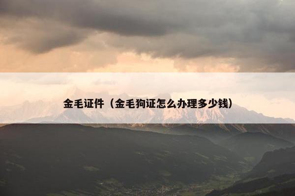 金毛证件（金毛狗证怎么办理多少钱）