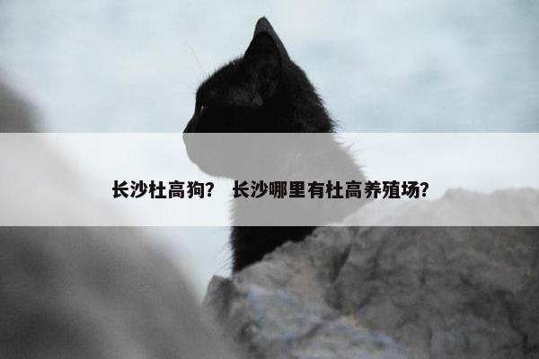 长沙杜高狗？ 长沙哪里有杜高养殖场？