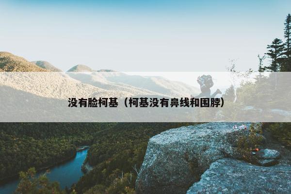 没有脸柯基（柯基没有鼻线和围脖）