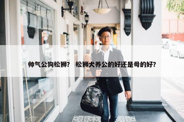帅气公狗松狮？ 松狮犬养公的好还是母的好？