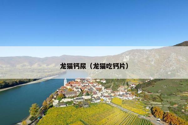 龙猫钙尿（龙猫吃钙片）