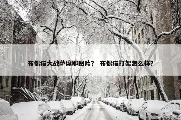 布偶猫大战萨摩耶图片？ 布偶猫打架怎么样？