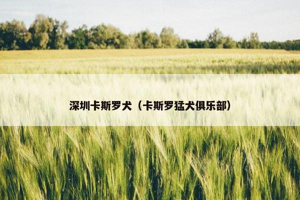 深圳卡斯罗犬（卡斯罗猛犬俱乐部）