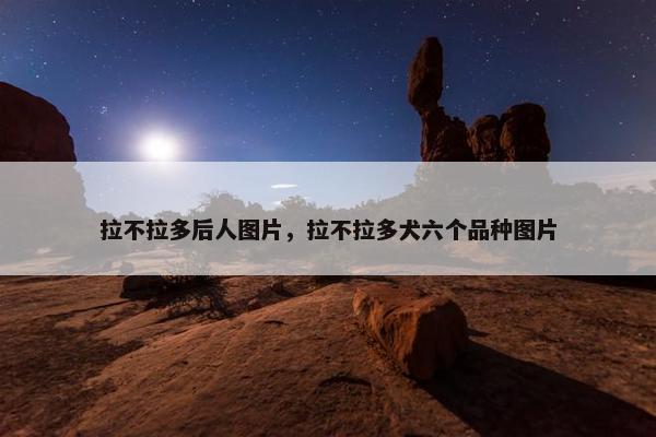 拉不拉多后人图片，拉不拉多犬六个品种图片
