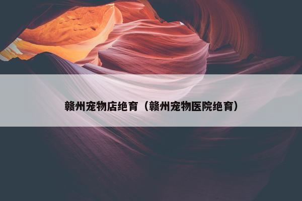 赣州宠物店绝育（赣州宠物医院绝育）