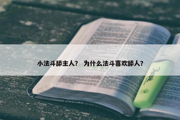 小法斗舔主人？ 为什么法斗喜欢舔人？