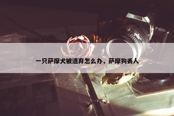 一只萨摩犬被遗弃怎么办，萨摩狗丢人