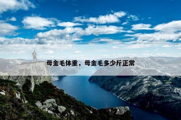 母金毛体重，母金毛多少斤正常