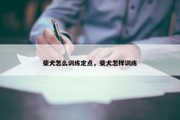 柴犬怎么训练定点，柴犬怎样训练