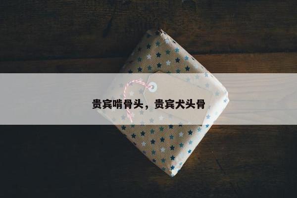贵宾啃骨头，贵宾犬头骨