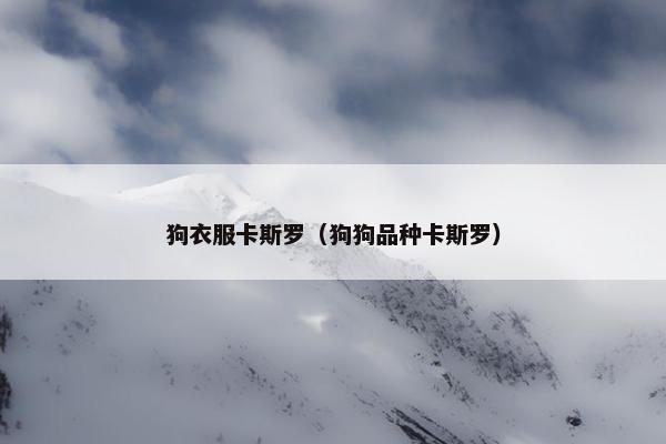 狗衣服卡斯罗（狗狗品种卡斯罗）