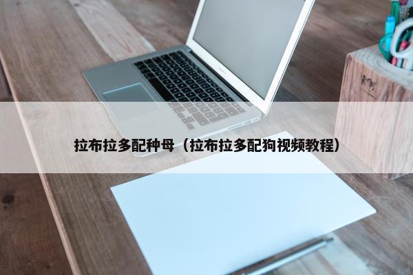拉布拉多配种母（拉布拉多配狗视频教程）