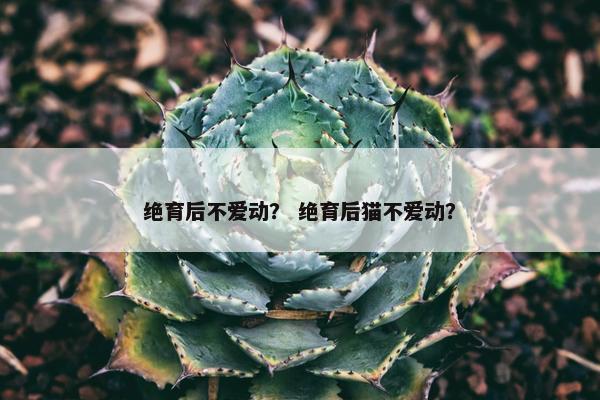 绝育后不爱动？ 绝育后猫不爱动？