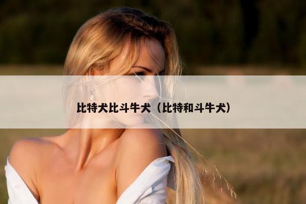 比特犬比斗牛犬（比特和斗牛犬）