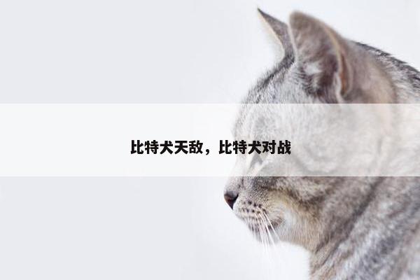 比特犬天敌，比特犬对战