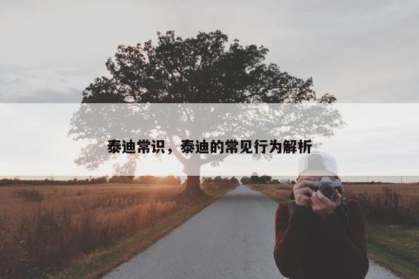 泰迪常识，泰迪的常见行为解析