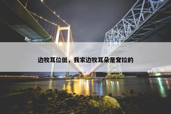 边牧耳位低，我家边牧耳朵是耷拉的