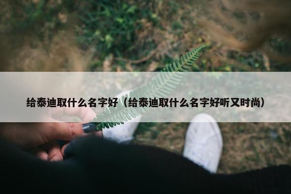 给泰迪取什么名字好（给泰迪取什么名字好听又时尚）