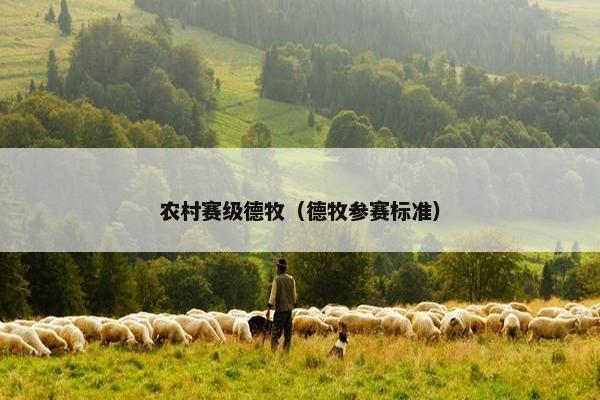 农村赛级德牧（德牧参赛标准）