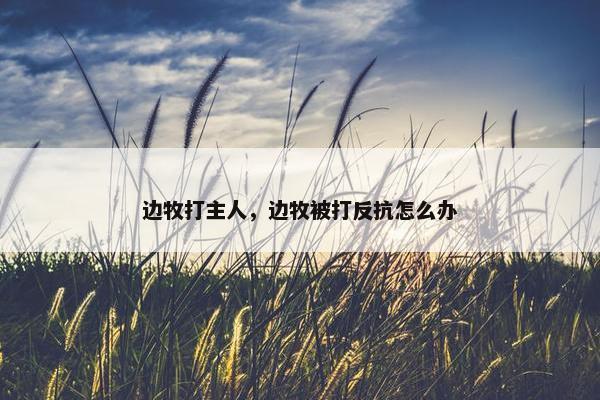边牧打主人，边牧被打反抗怎么办