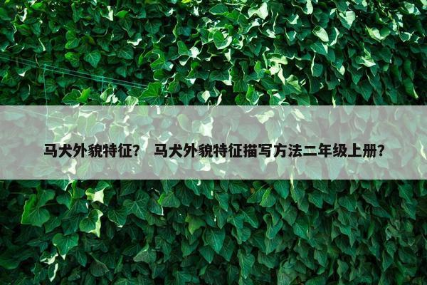 方形