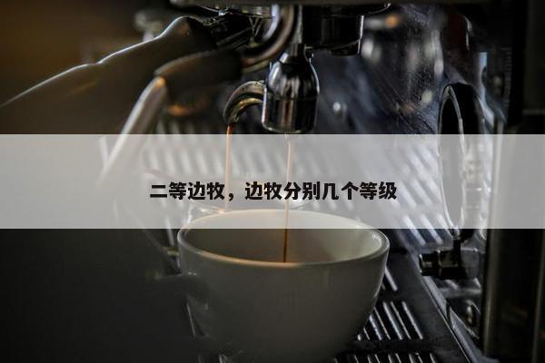 二等边牧，边牧分别几个等级
